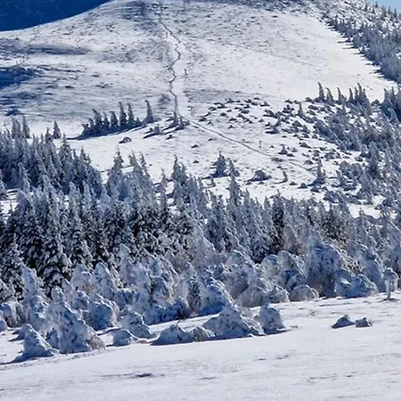 Apartamento Duplex 8 Pers à Super-besse Avec Piscine - Fr-1-814-44 Besse-et-Saint-Anastaise